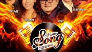 好歌曲3：那些触动心灵、闪耀音乐魅力的精彩瞬间