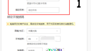 账号购买 1：探索背后的风险与保障及相关注意事项