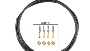 油管5：探索其背后的奥秘与精彩，领略独特魅力